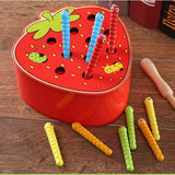 Early Childhood Educational Toys